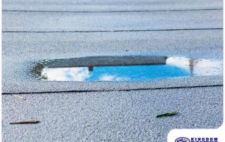 Read more about the article What Happens If You Ignore Ponding Water on Your Roof?