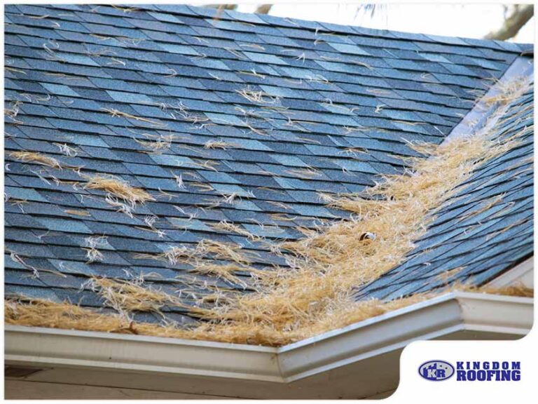 Read more about the article 3 Most Damaging Types of Debris to Your Roof