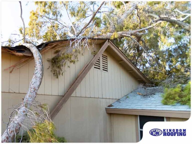 Read more about the article 7 Ways Trees Can Damage Your Roof and Home