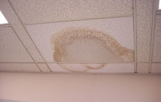 Read more about the article What to Do When You Discover a Ceiling Water Stain