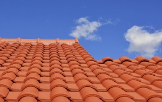 Read more about the article Damage Originating Under the Roofing Structure